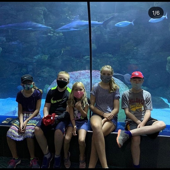 Meet your Posher, Sally - Picture 4 of 5